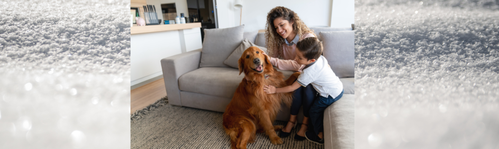 Child interacting gently with a pet demonstrating responsibility and empathy